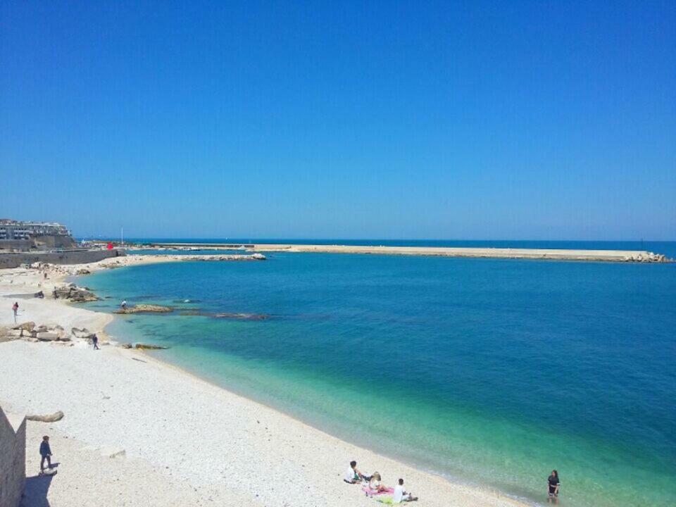 Casa Vacanze La Scalinata Bisceglie Zewnętrze zdjęcie